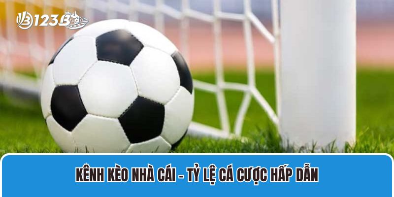 Kênh Kèo Nhà Cái 123B Với Tỷ Lệ Cá Cược Trực Tuyến Tốt Nhất 1 kenh keo nha cai – ty le ca cuoc hap dan