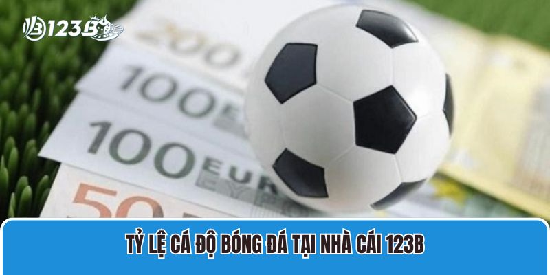 Tỷ Lệ Cá Độ Bóng Đá Phổ Biến Và Mẹo Chơi Hiệu Quả Nhất 2 Tỷ lệ cá độ bóng đá tại nhà cái 123B