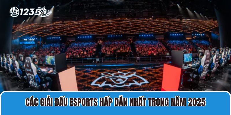 Tổng Hợp Các Giải Đấu Esport Hấp Dẫn Nhất Mọi Thời Đại 1 Các giải đấu Esports hấp dẫn nhất trong năm 2025