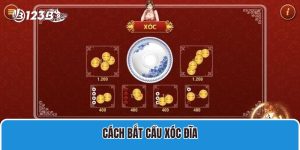 Cách bắt cầu xóc đĩa