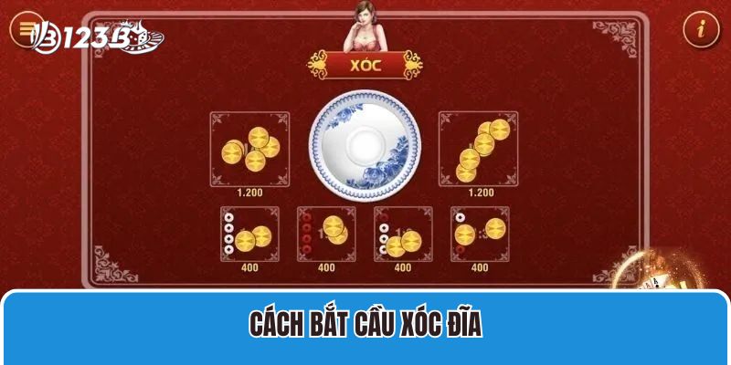 Cách bắt cầu xóc đĩa