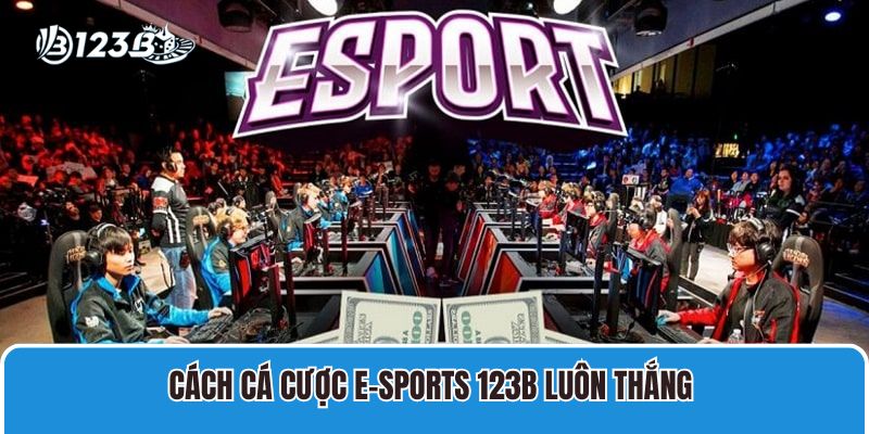 Hướng Dẫn Cá Cược E-sports 123B Luôn Thắng Cho Bet Thủ 1 Cách cá cược E-sports 123B luôn thắng