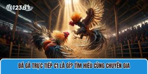 Đá Gà Trực Tiếp C1 Là Gì? Tìm Hiểu Cùng Chuyên Gia