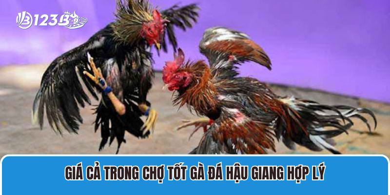 Chợ Tốt Gà Đá Hậu Giang Gà Chọi, Già Nòi Cựa Chắc Giá Tốt 3 Giá cả trong chợ tốt gà đá Hậu Giang hợp lý