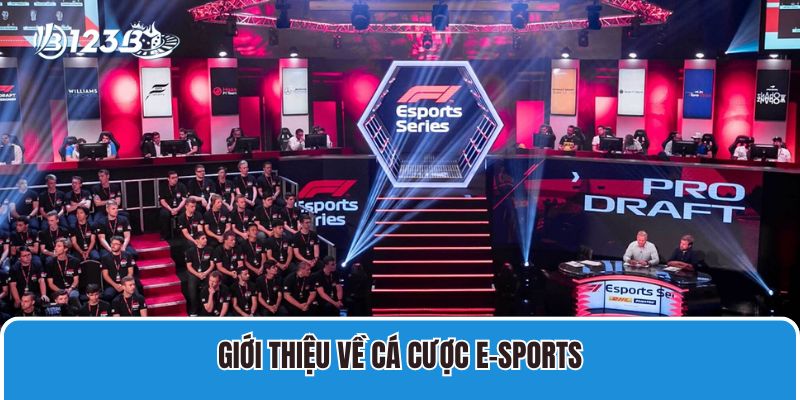 Hướng Dẫn Cá Cược E-sports 123B Luôn Thắng Cho Bet Thủ 2 Giới thiệu về cá cược E-sports