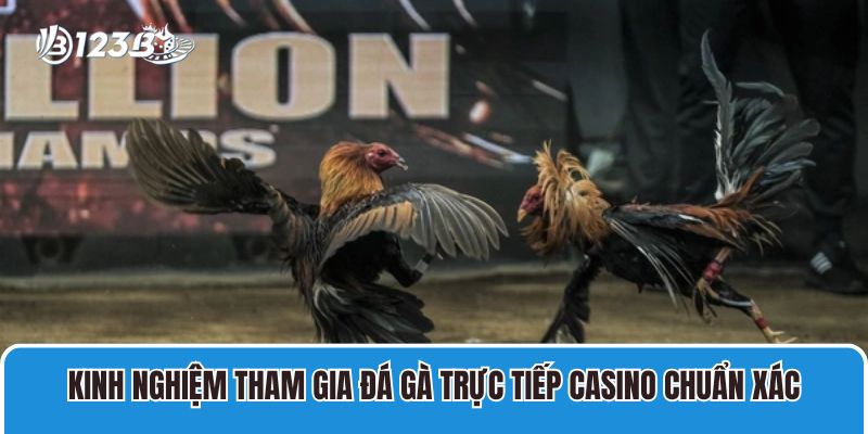 Đá Gà Trực Tiếp Casino Live Savan, CPC1 Sắc Nét, Thưởng Lớn 4 Kinh nghiệm tham gia đá gà trực tiếp casino chuẩn xác