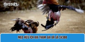 Mẹo hữu ích khi tham gia đá gà SV388