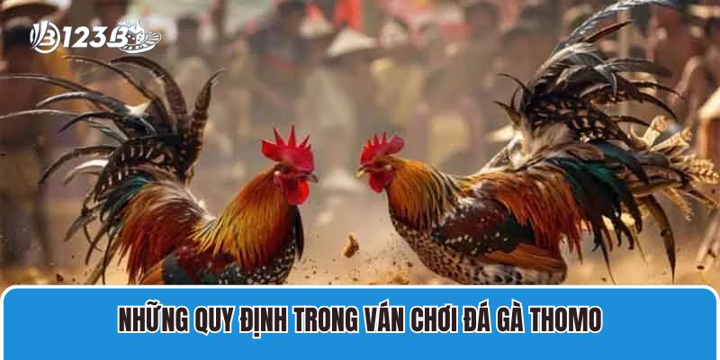 Đá Gà Cựa Sắt Thomo Trực Tiếp Tại Campuchia Mới Nhất 4 Những quy định trong ván chơi đá gà Thomo