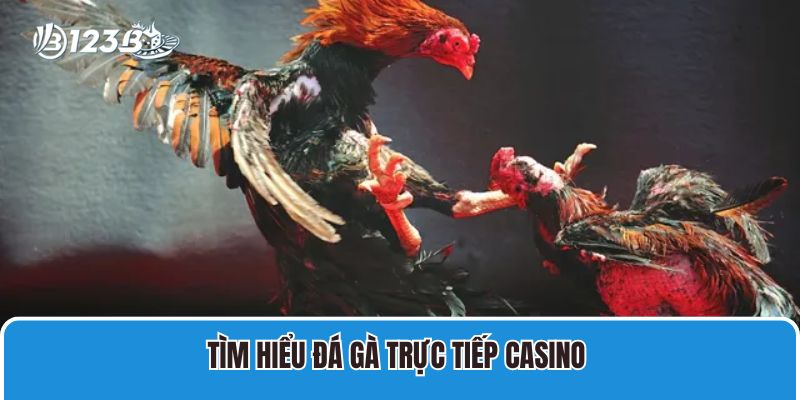 Đá Gà Trực Tiếp Casino Live Savan, CPC1 Sắc Nét, Thưởng Lớn 2 Tìm hiểu đá gà trực tiếp casino