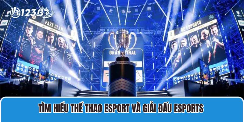 Tổng Hợp Các Giải Đấu Esport Hấp Dẫn Nhất Mọi Thời Đại 2 Tìm hiểu thể thao Esport và giải đấu Esports