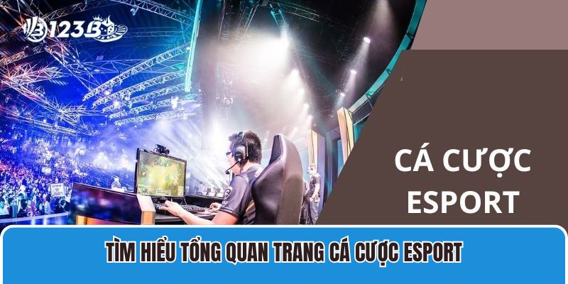 Trang Cá Cược Esport Trực Tuyến Uy Tín, Đẳng Cấp Nhất 2 Tìm hiểu tổng quan trang cá cược Esport