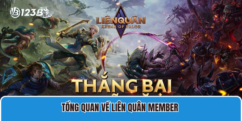Tổng quan về Liên quân member 