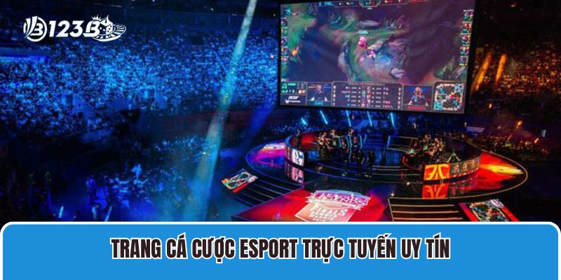 Trang Cá Cược Esport Trực Tuyến Uy Tín, Đẳng Cấp Nhất 1 Trang Cá Cược Esport Trực Tuyến Uy Tín