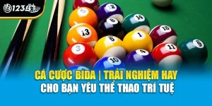 Cá Cược Bida | Trải Nghiệm Hay Cho Bạn Yêu Thể Thao Trí Tuệ