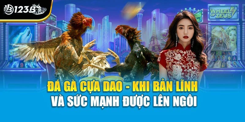 Đá Gà Cựa Dao - Khi Bản Lĩnh Và Sức Mạnh Được Lên Ngôi 1 Đá Gà Cựa Dao - Khi Bản Lĩnh Và Sức Mạnh Được Lên Ngôi