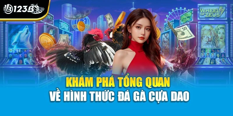 Đá Gà Cựa Dao - Khi Bản Lĩnh Và Sức Mạnh Được Lên Ngôi 2 Khám phá tổng quan về hình thức đá gà cựa dao